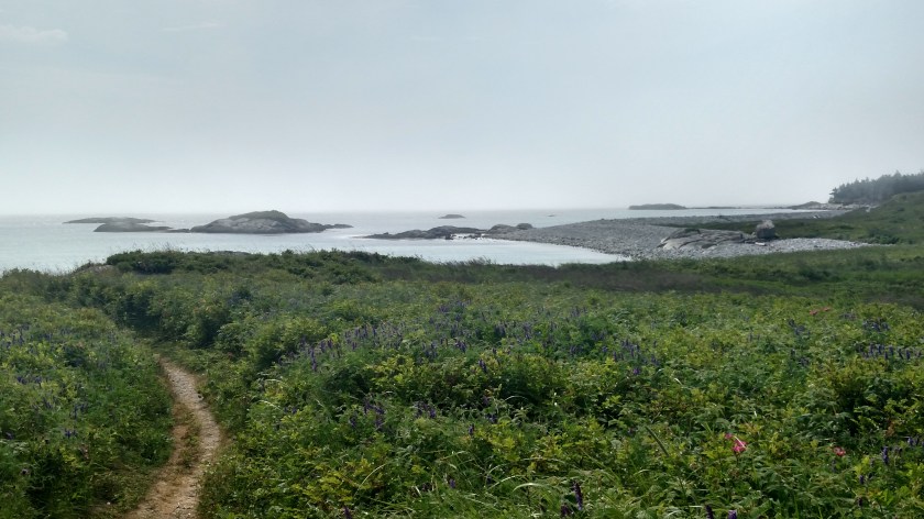 IMG_20190717_104959659_HDR