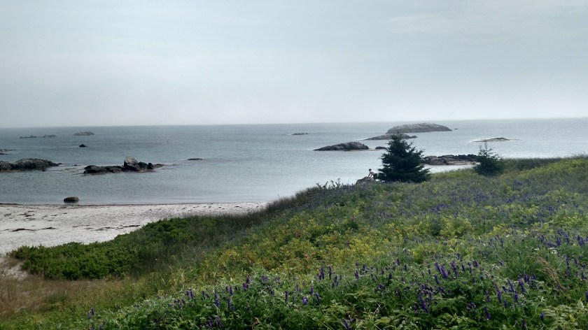 IMG_20190717_105006405_HDR