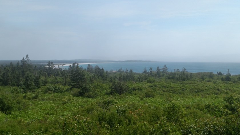 IMG_20190717_110802187