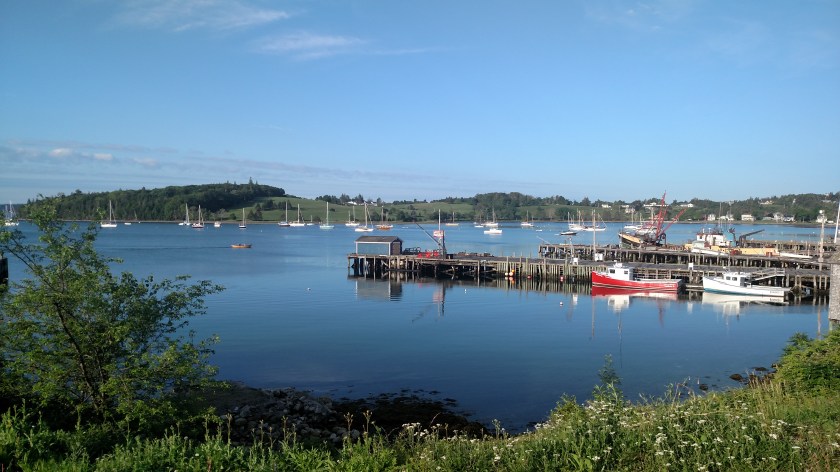 IMG_20190718_074137726