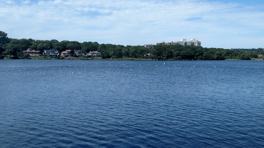 IMG_20190719_152342677