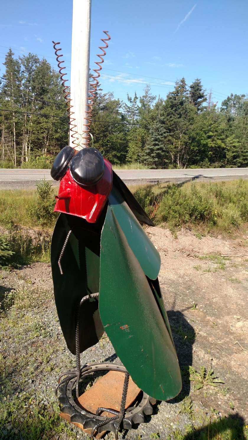 IMG_20190720_093351877