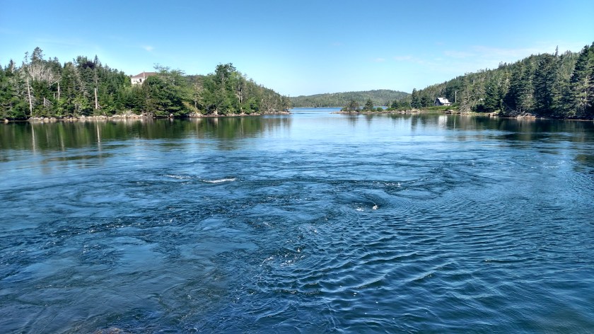 IMG_20190720_095434545_HDR