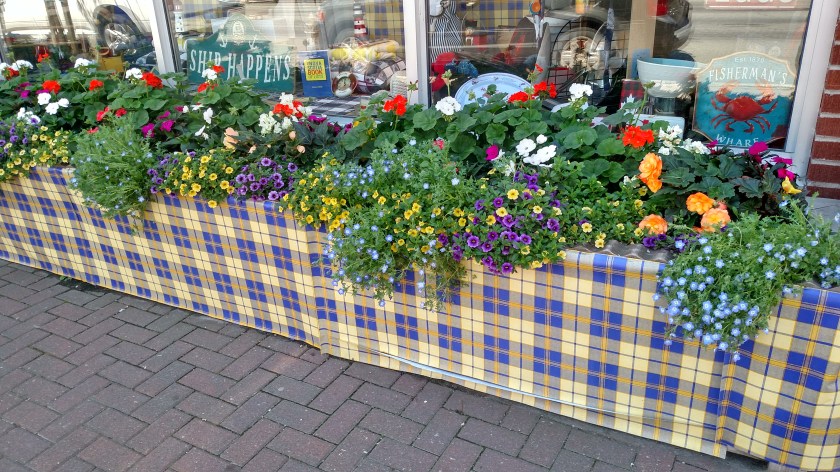 IMG_20190721_123430077_HDR