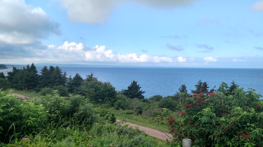 IMG_20190722_082418863_HDR