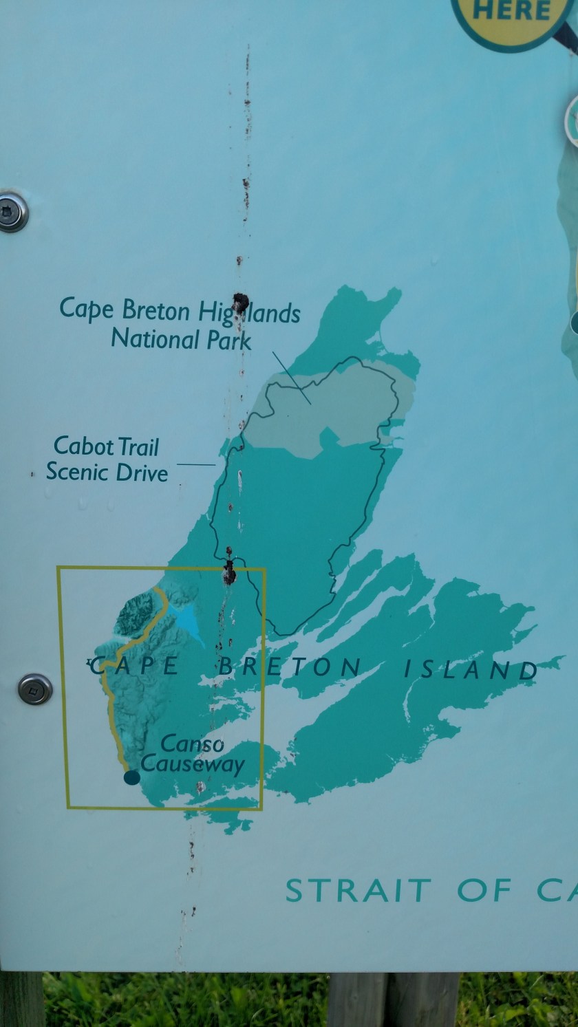 IMG_20190722_084654170