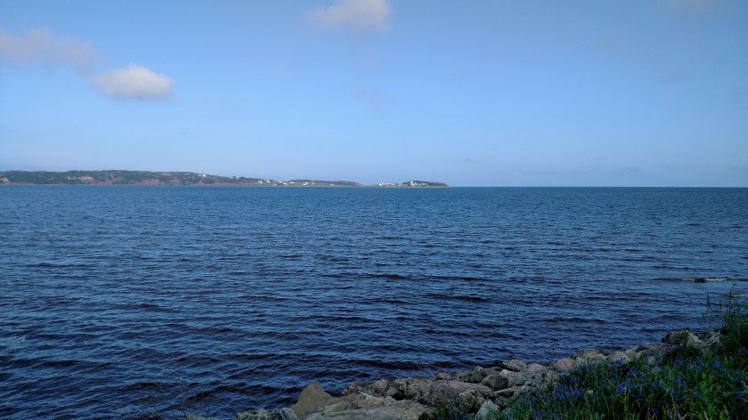 IMG_20190722_091404269