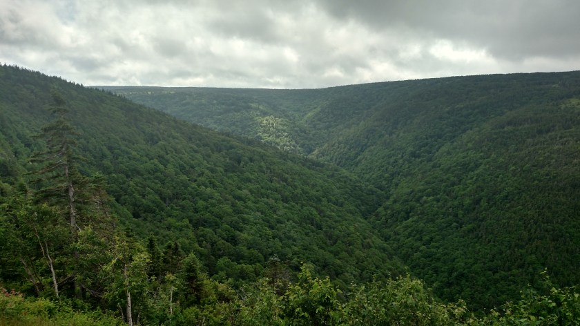 IMG_20190722_133945430_HDR