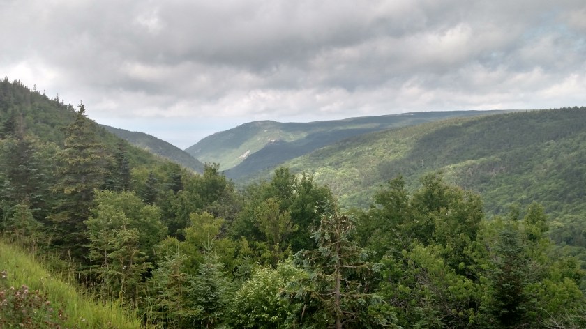 IMG_20190722_134143547_HDR