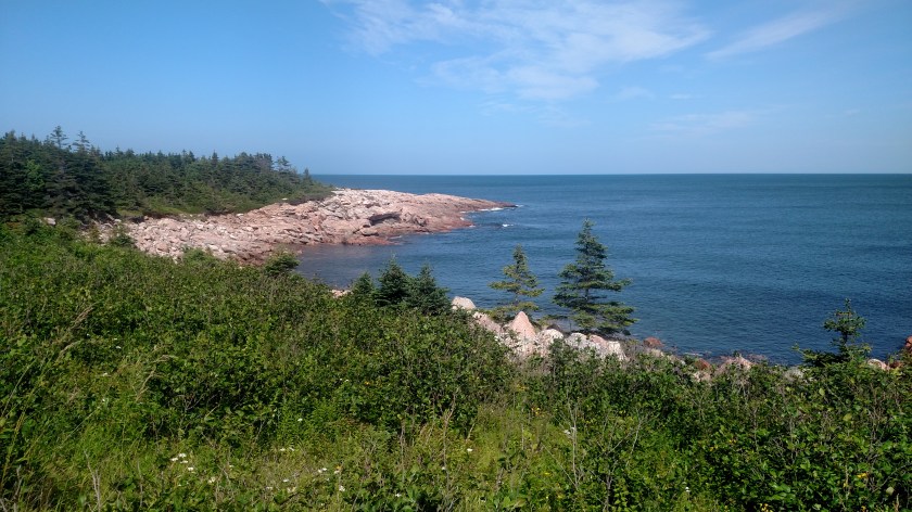 IMG_20190722_152025865