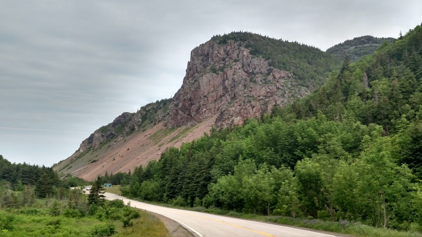 IMG_20190724_110700458_HDR