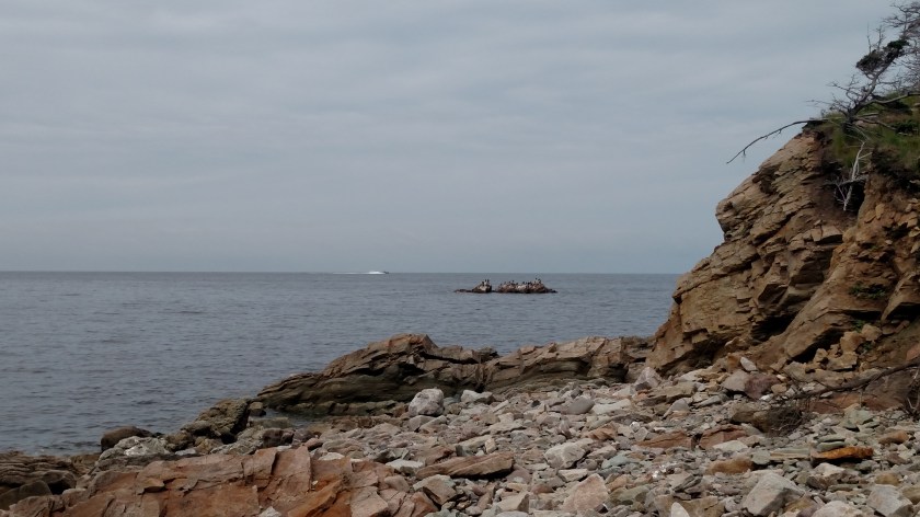 IMG_20190724_111520335