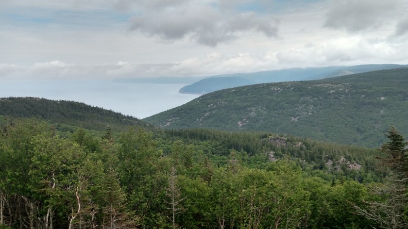 IMG_20190724_121509356_HDR