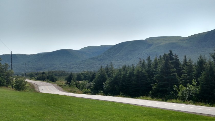 IMG_20190726_100255090_HDR