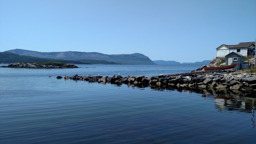 IMG_20190726_132411557