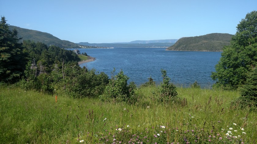 IMG_20190726_155729408