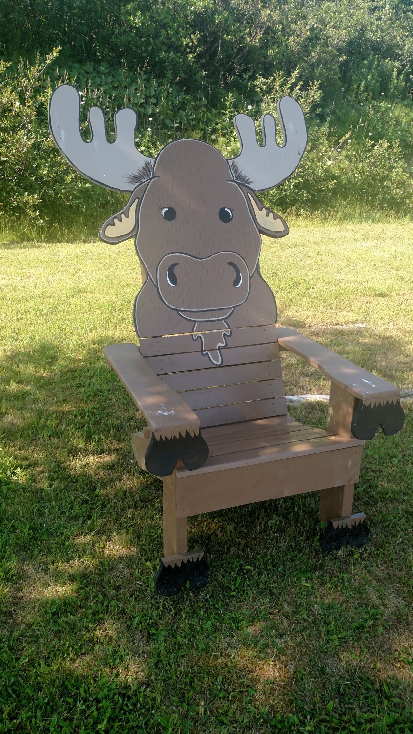 IMG_20190726_163806127