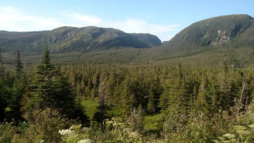 IMG_20190726_174701890