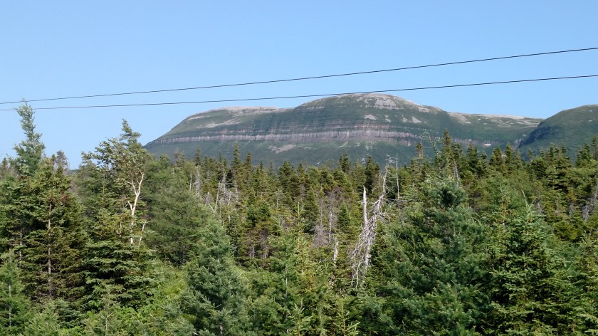 IMG_20190727_162421664