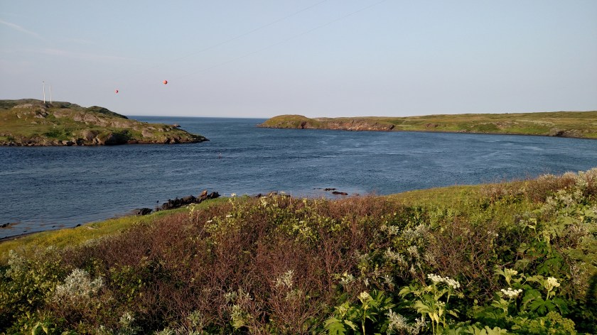 IMG_20190727_184222933