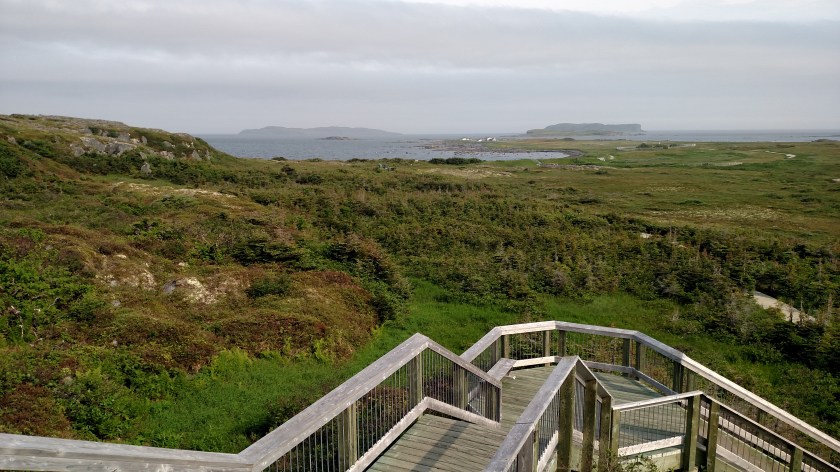 IMG_20190728_091148729