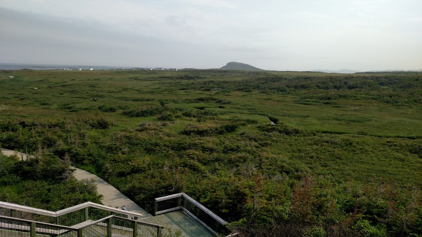 IMG_20190728_091153701