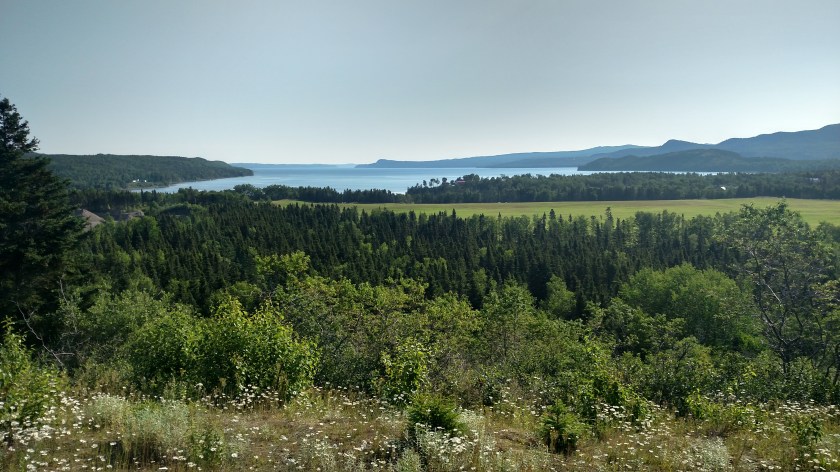 IMG_20190729_083654491_HDR