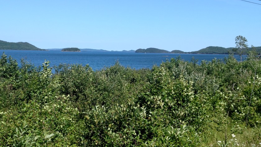 IMG_20190729_112005506