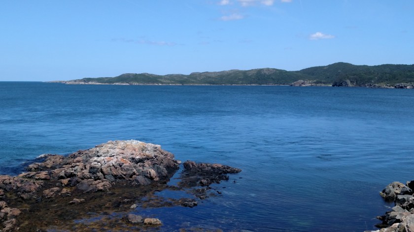 IMG_20190729_134120540