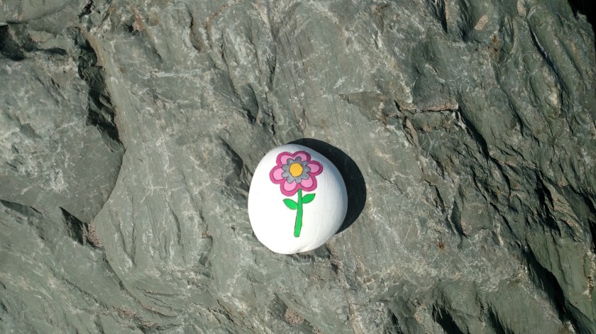 IMG_20190730_085706745