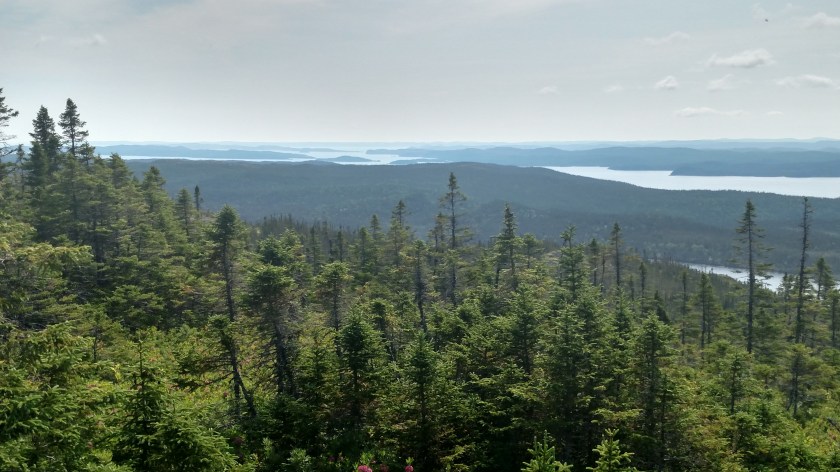 IMG_20190730_101959881_HDR