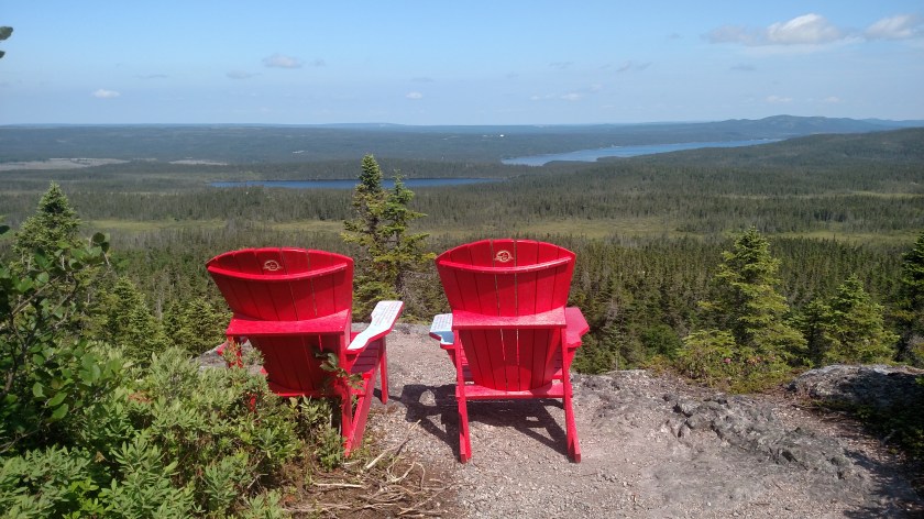 IMG_20190730_104316353