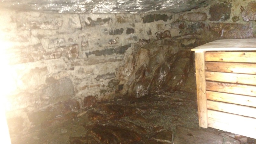 IMG_20190730_131305300