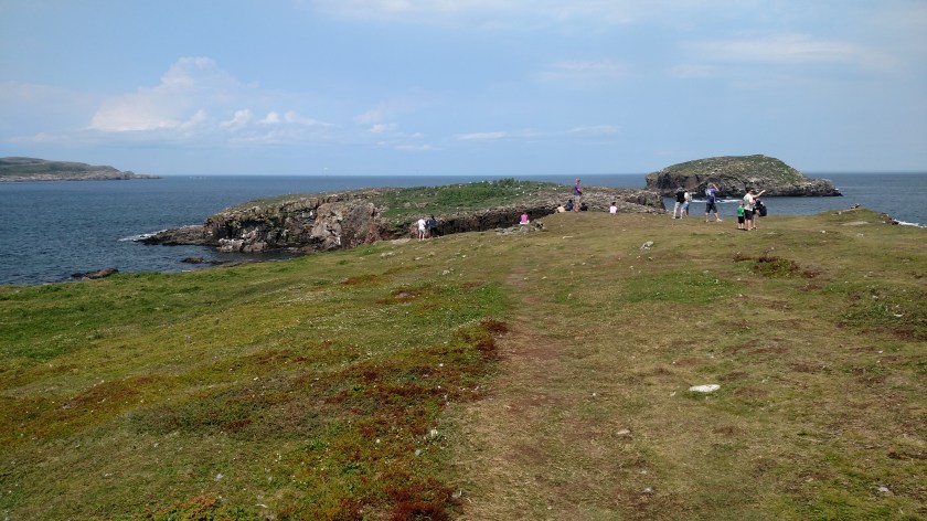 IMG_20190730_131816440