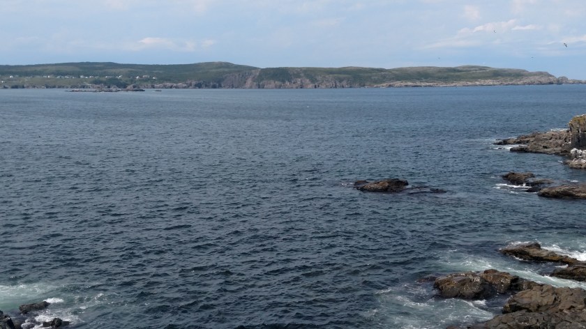 IMG_20190730_132953852