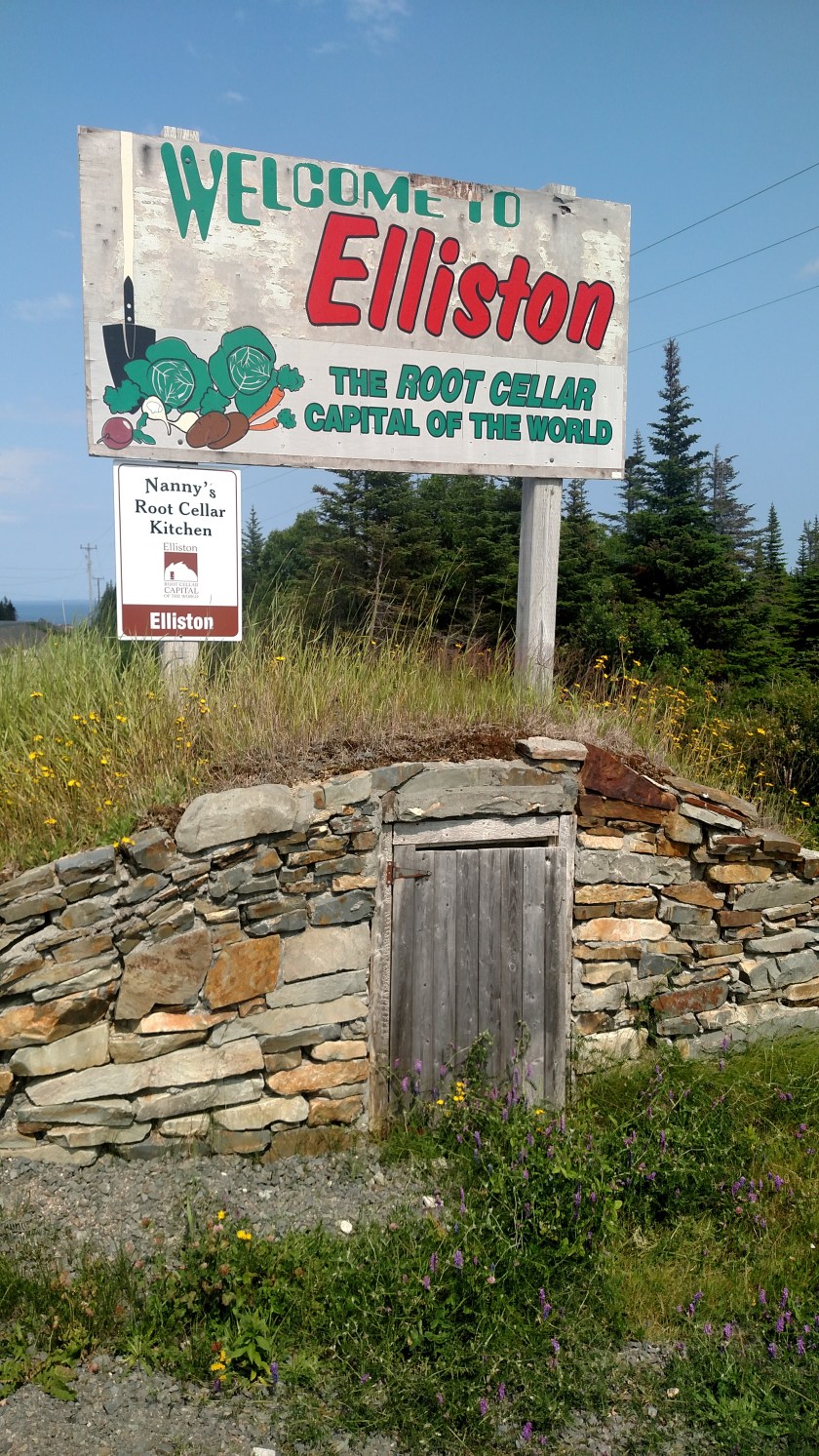 IMG_20190730_135909252