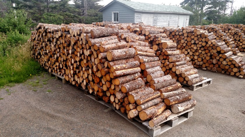 IMG_20190730_160111545