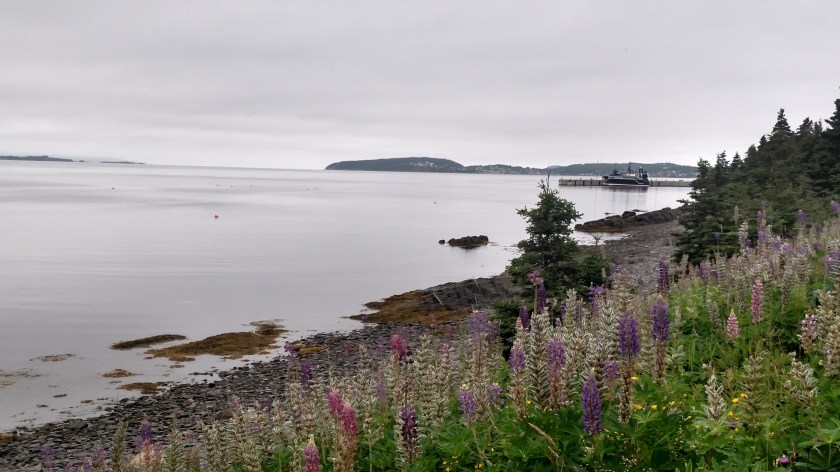 IMG_20190731_094632862_HDR