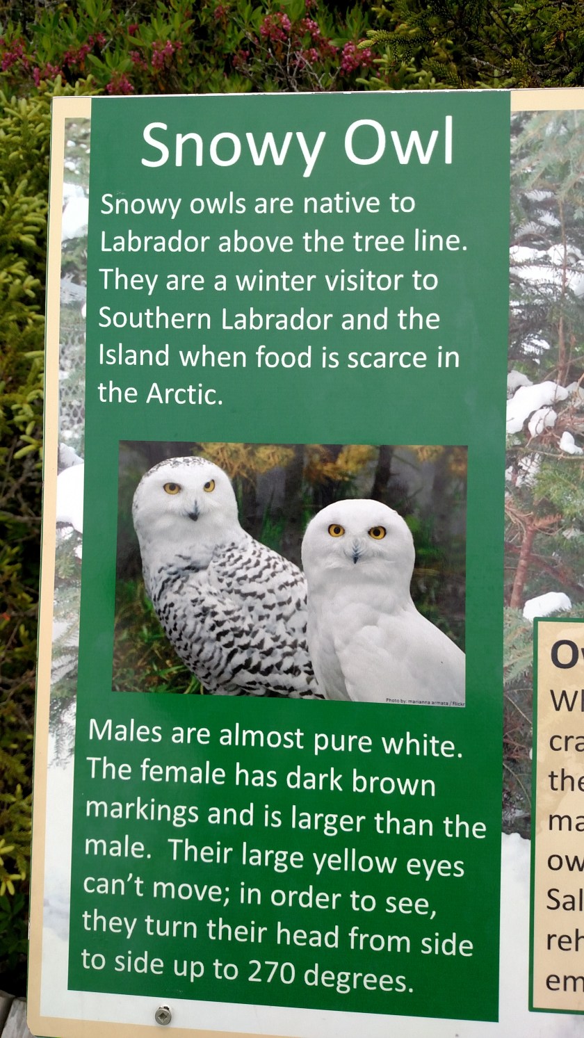 IMG_20190731_115054112