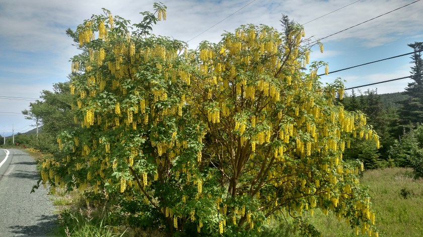 IMG_20190801_124530242_HDR