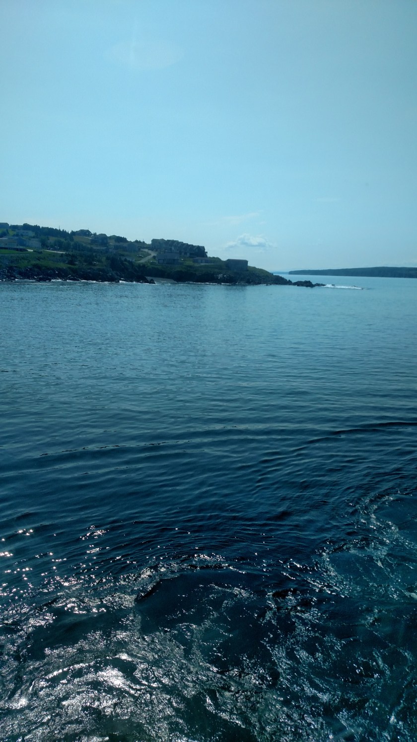 IMG_20190801_143957862