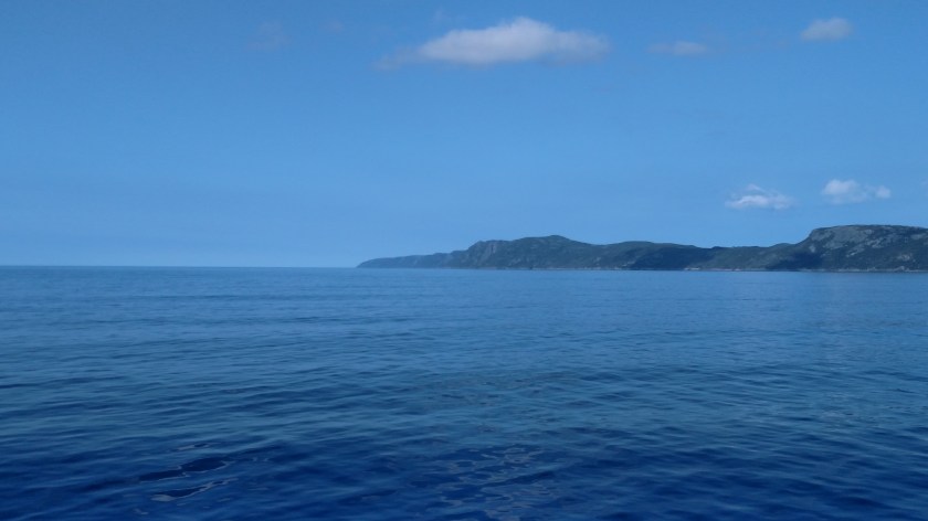 IMG_20190801_160803808