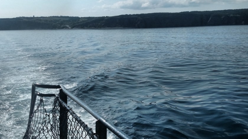 IMG_20190801_160816954