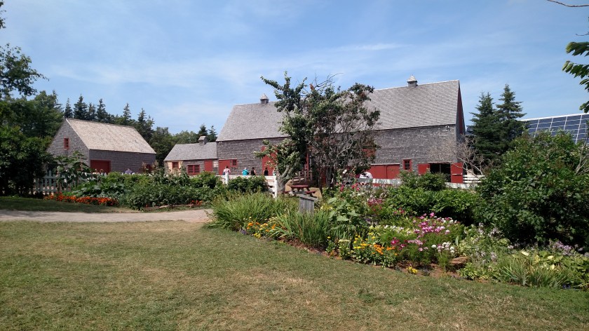 IMG_20190808_133636122