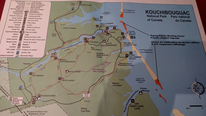 IMG_20190810_161832910