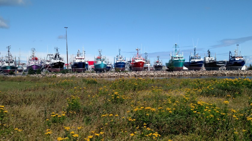 IMG_20190811_111650909