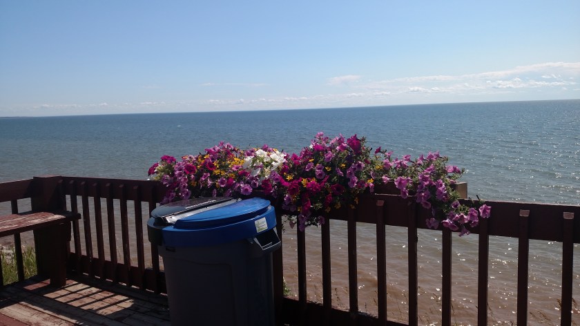 IMG_20190812_141024278