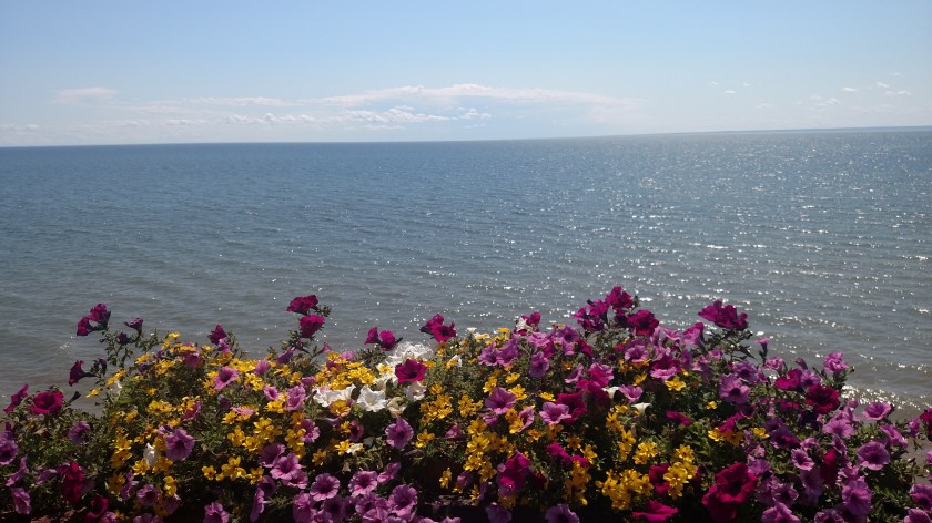 IMG_20190812_141314154