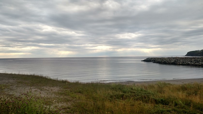 IMG_20190813_083332232_HDR