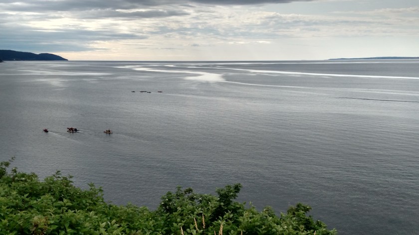 IMG_20190813_100439574_HDR